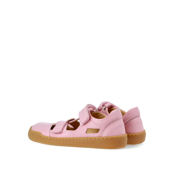 Shellwood - Rose - slika 6
