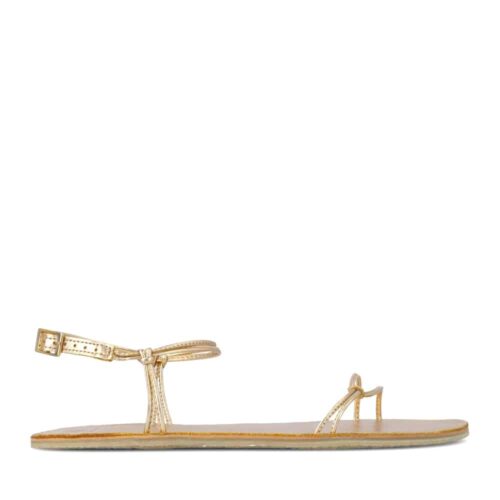 Cadiz - Champagne Gold