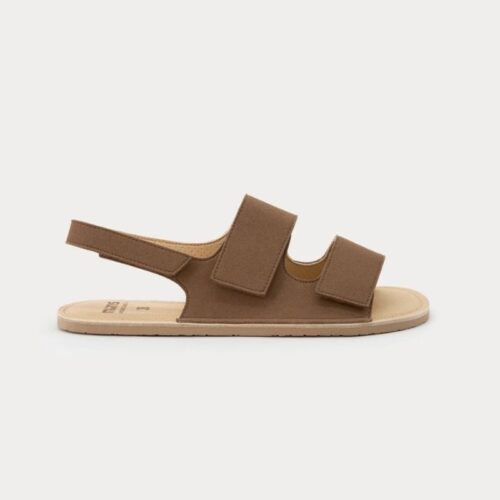 Rio Adult - Bark Brown